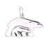 CP2184 Polar Bears Charm - Selah925.com