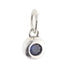 CP3067 Blue Gemstone CZ Charm - Selah925.com