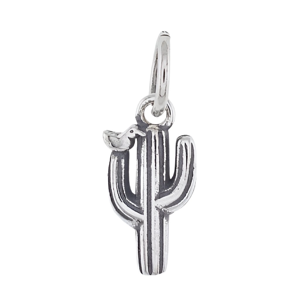 CP4038 Catus Charm - Selah925.com